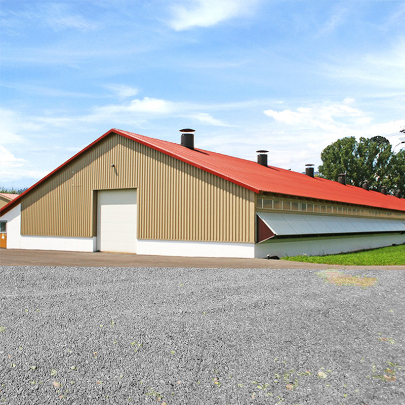 Poultry shed